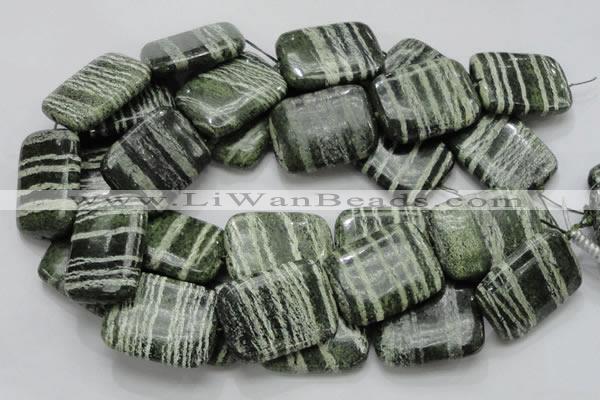 CSJ40 15.5 inches 30*40mm rectangle green silver line jasper beads