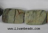 CSL121 15.5 inches 18*25mm faceted rectangle silver leaf jasper beads