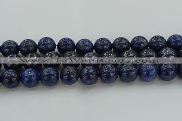 CSO638 15.5 inches 18mm round sodalite gemstone beads wholesale