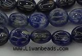 CSO670 15.5 inches 10mm flat round sodalite gemstone beads