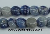 CSO80 15.5 inches 12mm flat round sodalite gemstone beads wholesale