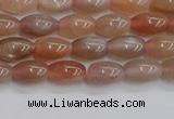 CSS265 15.5 inches 5*8mm rice sunstone beads wholesale