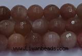 CSS672 15.5 inches 8mm faceted round sunstone gemstone beads