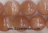 CSS706 15.5 inches 10mm round natural golden sunstone beads