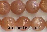 CSS710 15.5 inches 8mm round natural golden sunstone beads