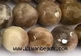 CSS822 15 inches 10mm faceted round sunstone beads