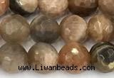 CSS831 15 inches 8mm faceted round sunstone beads