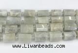 CTB876 13*25mm - 14*19mm faceted tube moonstone beads