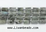 CTB878 13*25mm - 14*19mm faceted tube labradorite beads