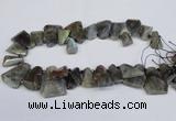 CTD2103 Top drilled 15*25mm - 25*30mm freeform labradorite beads