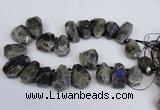 CTD2104 Top drilled 25*30mm - 28*40mm faceted nuggets labradorite beads