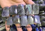 CTD2105 Top drilled 20*28mm - 22*32mm faceted freeform labradorite beads