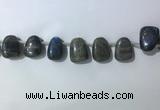 CTD2151 Top drilled 15*25mm - 18*25mm freeform labradorite beads