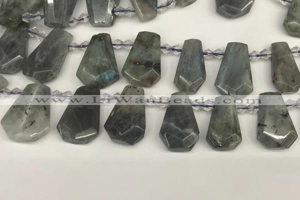 CTD2275 Top drilled 16*28mm - 20*30mm faceted freeform labradorite beads