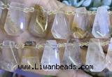 CTD2346 Top drilled 16*18mm - 20*30mm freeform scenic quartz beads