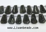 CTD2353 Top drilled 16*18mm - 20*30mm faceted freeform labradorite beads