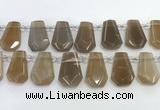 CTD2363 Top drilled 16*18mm - 20*30mm faceted freeform moonstone beads