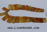 CTD2665 Top drilled 14*27mm - 16*42mm rectangle agate jasper beads