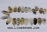 CTD2734 Top drilled 15*28mm - 18*45mm freeform montana agate beads