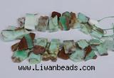 CTD2885 Top drilled 15*20mm - 25*45mm freeform australia chrysoprase beads