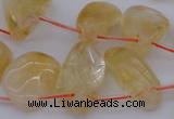 CTD323 Top drilled 15*20mm - 20*30mm freeform citrine beads