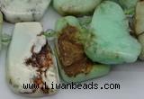 CTD335 Top drilled 15*20mm - 25*30mm freeform Australia chrysoprase beads