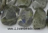 CTD3573 15.5 inches 15*20mm - 18*25mm freeform labradorite beads