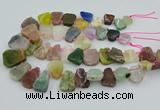 CTD3699 Top drilled 15*20mm - 25*30mm freeform mixed gemstone beads