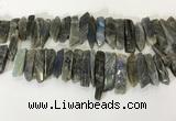 CTD3739 Top drilled 8*20mm - 10*50mm sticks labradorite beads