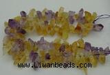 CTD419 Top drilled 10*20mm - 15*35mm nuggets amethyst & citrine beads