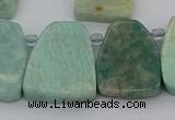 CTD446 Top drilled 20*25mm - 25*28mm freeform amazonite beads