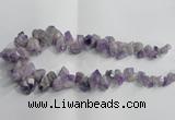 CTD952 Top drilled 8*12mm - 18*25mm faceted nuggets plated amethyst beads