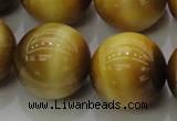 CTE1408 15.5 inches 20mm round golden tiger eye beads wholesale