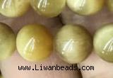 CTE2010 15.5 inches 10mm round golden tiger eye beads wholesale