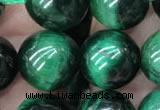 CTE2053 15.5 inches 10mm round green tiger eye beads wholesale