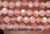 CTG1031 15.5 inches 2mm faceted round tiny moonstone beads