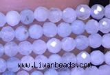 CTG1043 15.5 inches 2mm faceted round tiny aquamarine beads