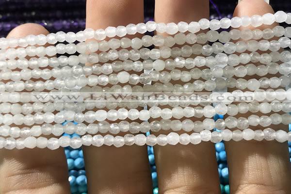 CTG1110 15.5 inches 3mm faceted round tiny white agate beads