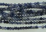 CTG115 15.5 inches 2mm round tiny sodalite gemstone beads wholesale