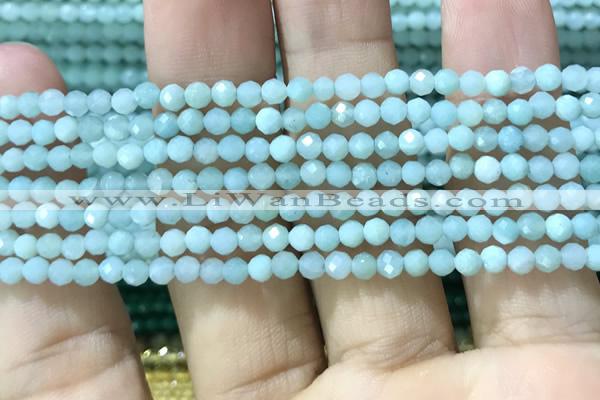 CTG1165 15.5 inches 3mm faceted round tiny amazonite beads