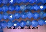 CTG1195 15.5 inches 3mm faceted round tiny apatite gemstone beads