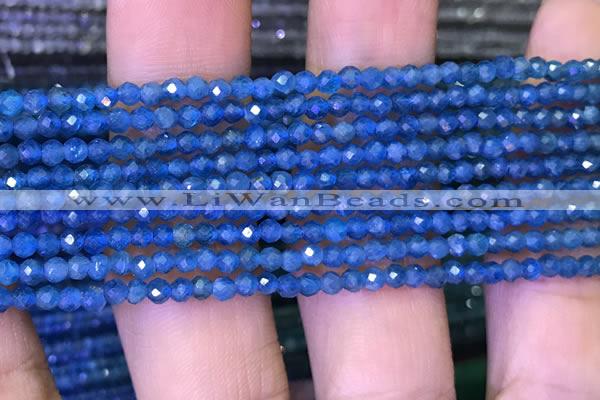 CTG1195 15.5 inches 3mm faceted round tiny apatite gemstone beads