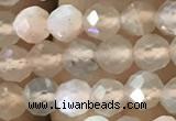 CTG1207 15.5 inches 4mm faceted round tiny rainbow moonstone beads