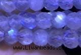 CTG1209 15.5 inches 4mm faceted round tiny labradorite beads