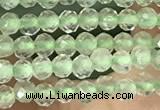 CTG1346 15.5 inches 2mm faceted round prehnite beads wholesale