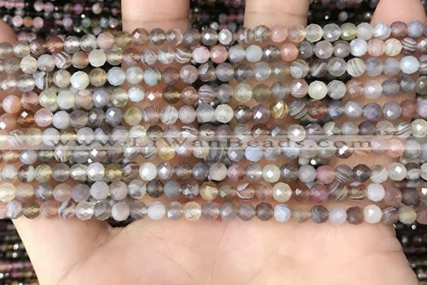 CTG1354 15.5 inches 4mm faceted round Botswana agate beads