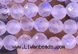 CTG1394 15.5 inches 4mm faceted round tiny white moonstone beads