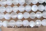 CTG1401 15.5 inches 2mm faceted round white moonstone beads wholesale