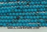 CTG144 15.5 inches 3mm round tiny blue turquoise beads wholesale