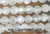 CTG1480 15.5 inches 3mm faceted round white moonstone beads